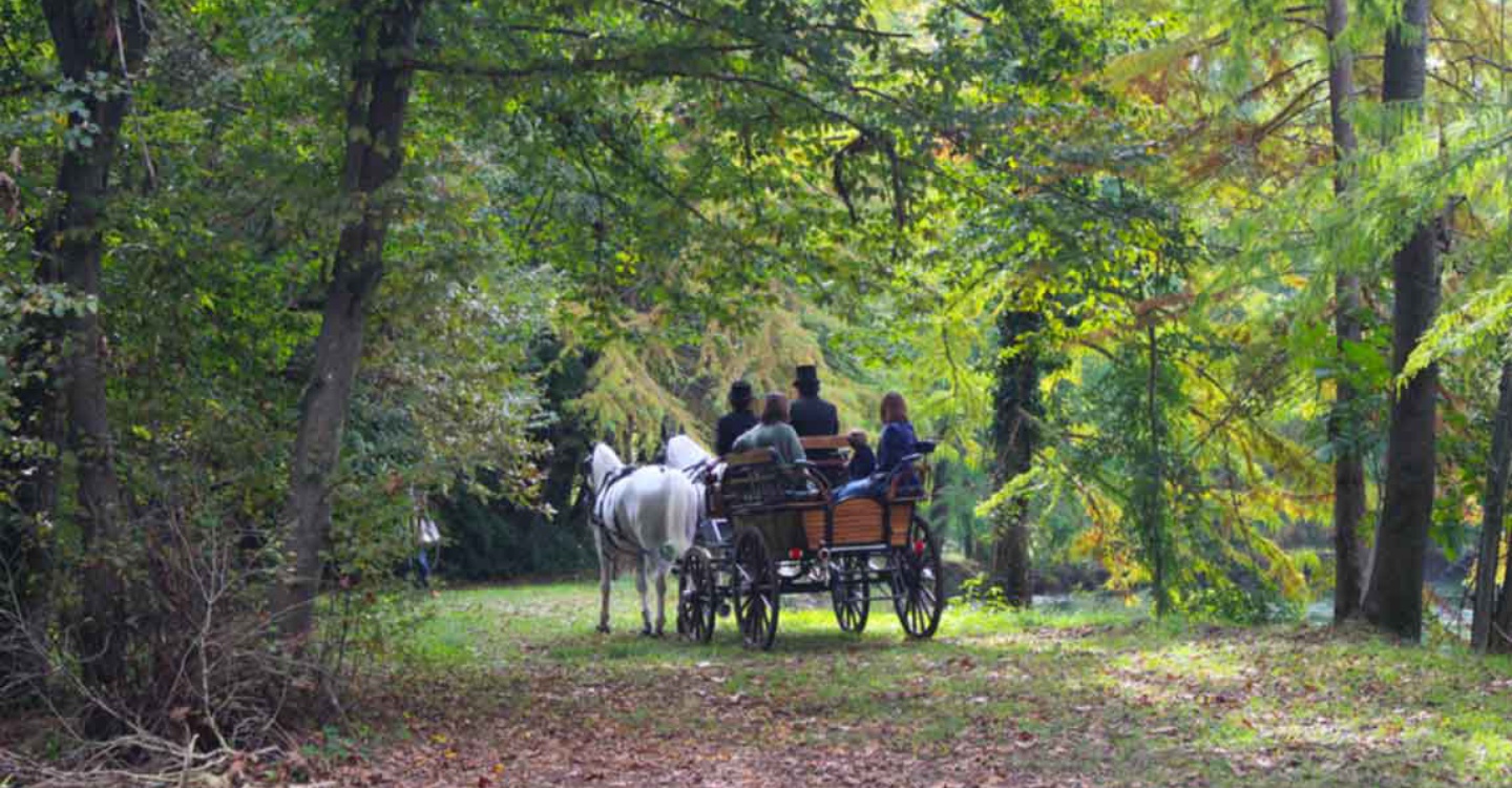 Horse-drawn carriage rides through historic villas