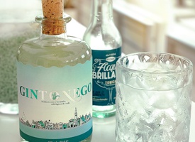 gin1.jpg